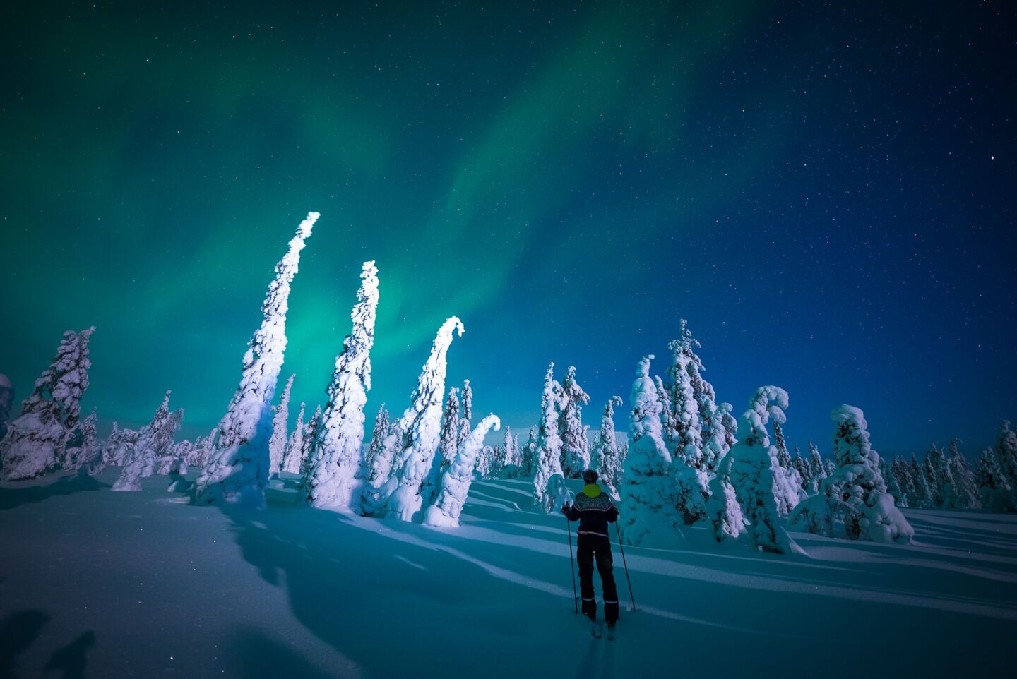 Northern Lights above snow-covered trees in Finnish Lapland