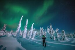Northern Lights over snow-covered trees in Finnish Lapland