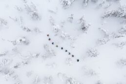 Guided winter experience through snow-covered forests in Finnish Lapland