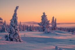 Snow-covered Arctic landscape in Finnish Lapland