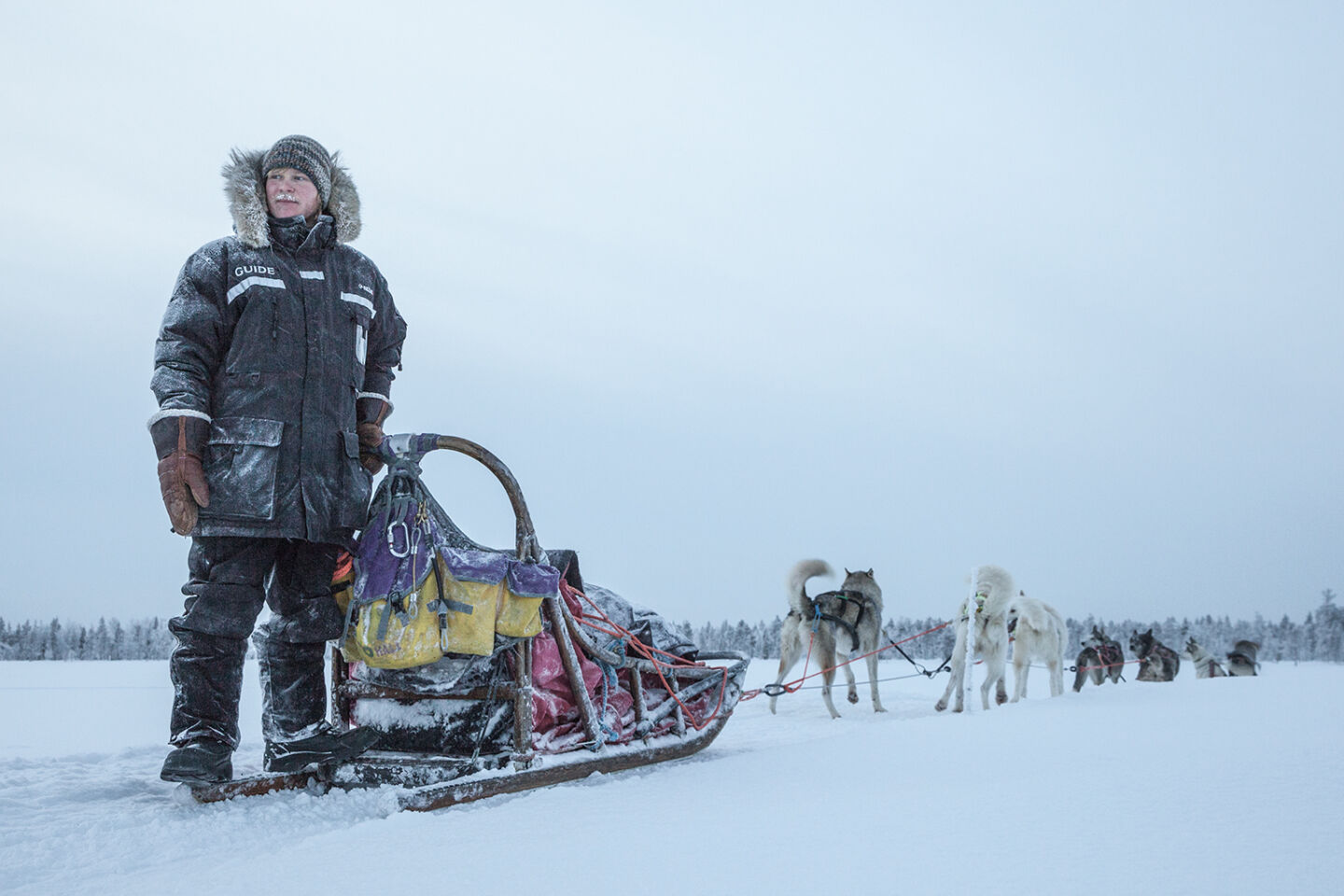 A guide stands with a harnessed husky team on a frozen river on the Arcora Husky Safari Experience in Muonio, Lapland.