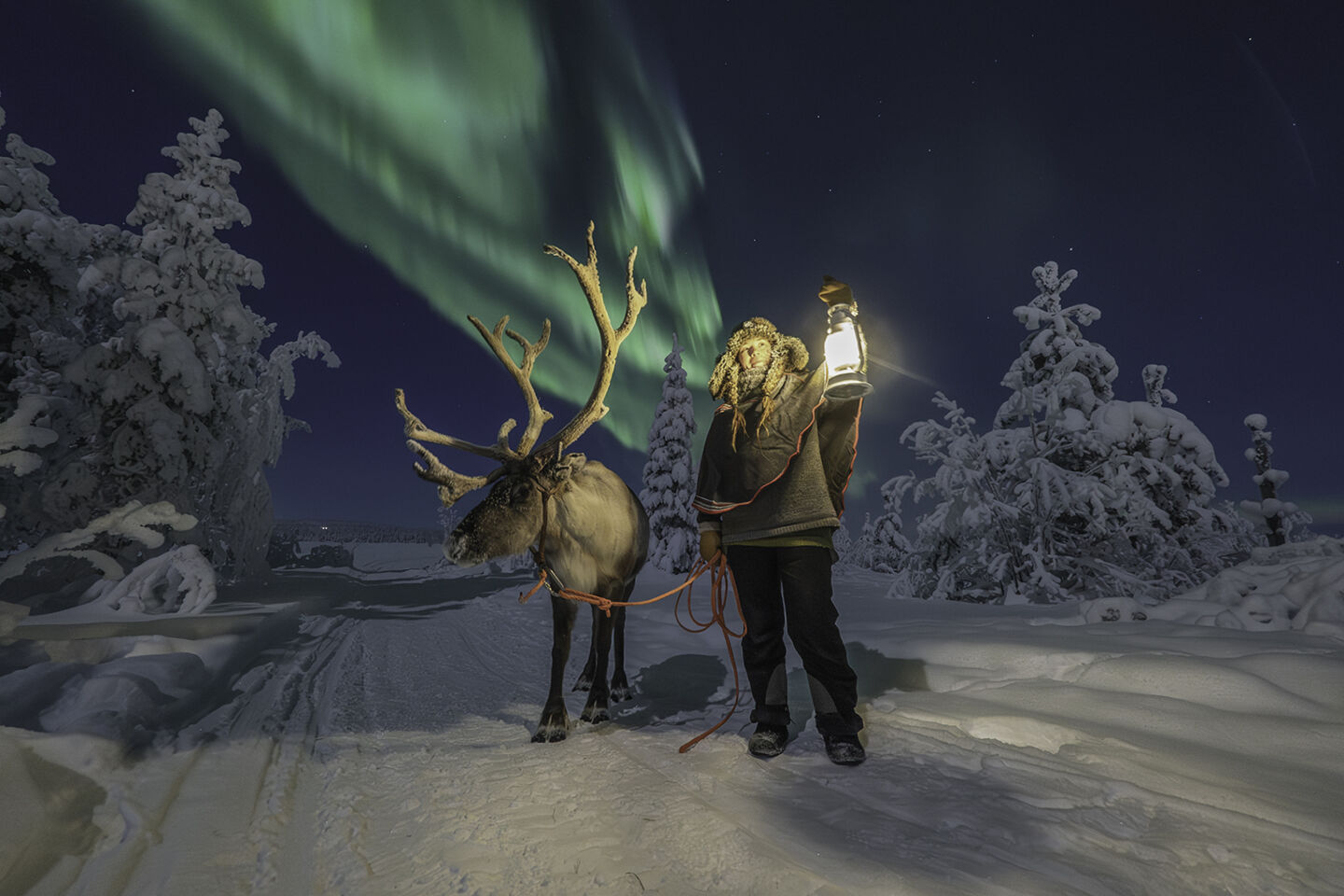 A handler holds up a lantern beside a reindeer under the northern lights at the reindeer homestead visited by Arcora guests.