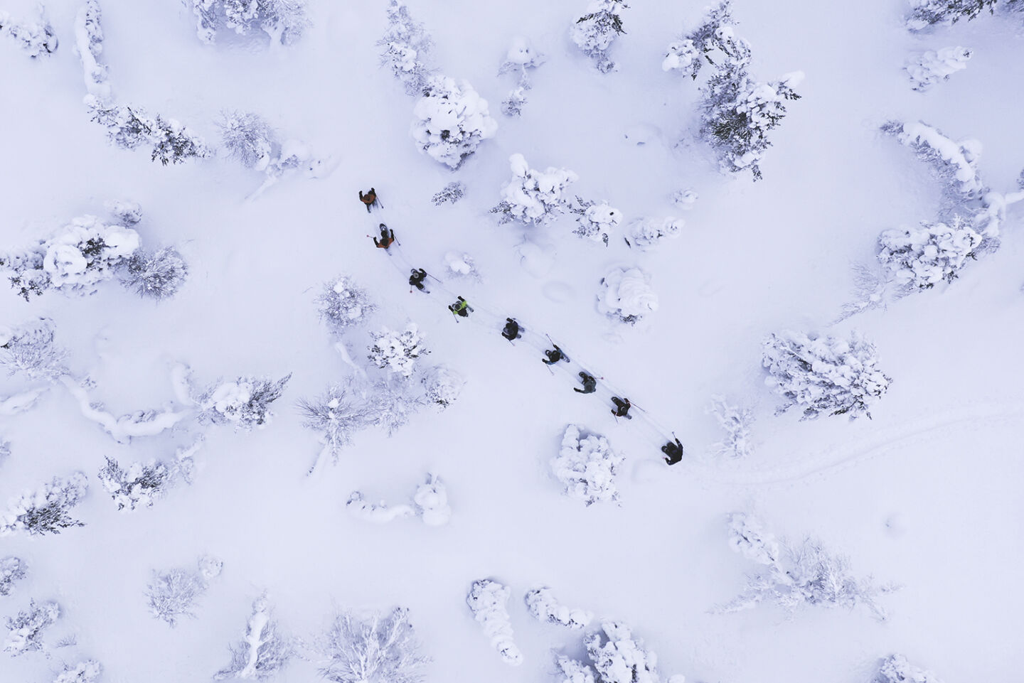A guided snowshoe group treks in single file through untouched snow in Pallas-Yllästunturi National Park with Arcora.