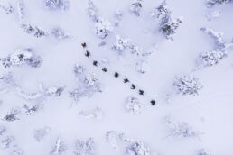 A guided snowshoe group treks in single file through untouched snow in Pallas-Yllästunturi National Park with Arcora.